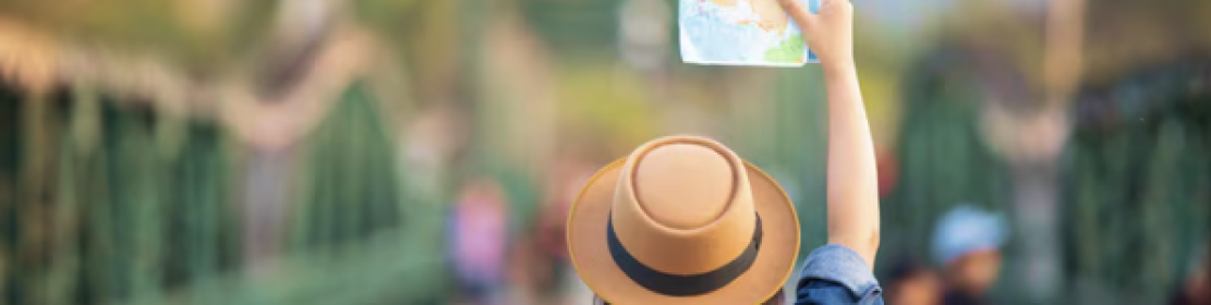 divsor - copia - copia